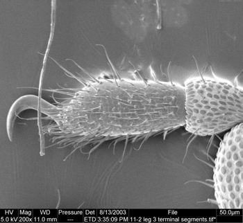 Media type: image;   Invertebrate Zoology 134647